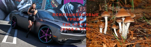 не бодяженный Володарск