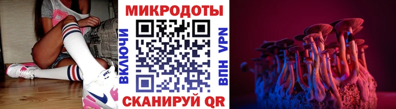 Галлюциногенные грибы Magic Shrooms мориарти Telegram Нерчинск даркнет сайт